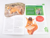 Журнальный выпуск "Обыкновенная лисица" с журналом №1 "Дикие животные России" (MODIMIO Collections)