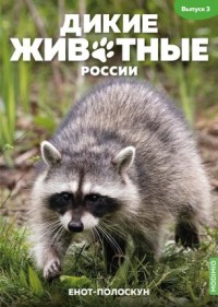 Журнальный выпуск "Енот-полооскун" с журналом №3 "Дикие животные России" (MODIMIO Collections)