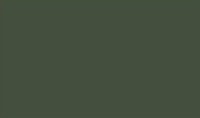 C 38 Краска Mr. Color, акриловая, на растворителе, 10мл, OLIVE DRAB (2) (Gunze Sangyo)